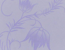 矽藻泥藝術(shù)塗料002