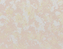 珍珠閃(shan)光石塗料(liao)002