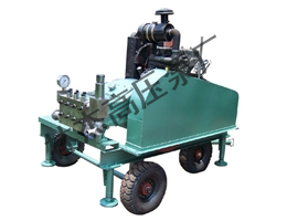 柴油(you)機傳動泵